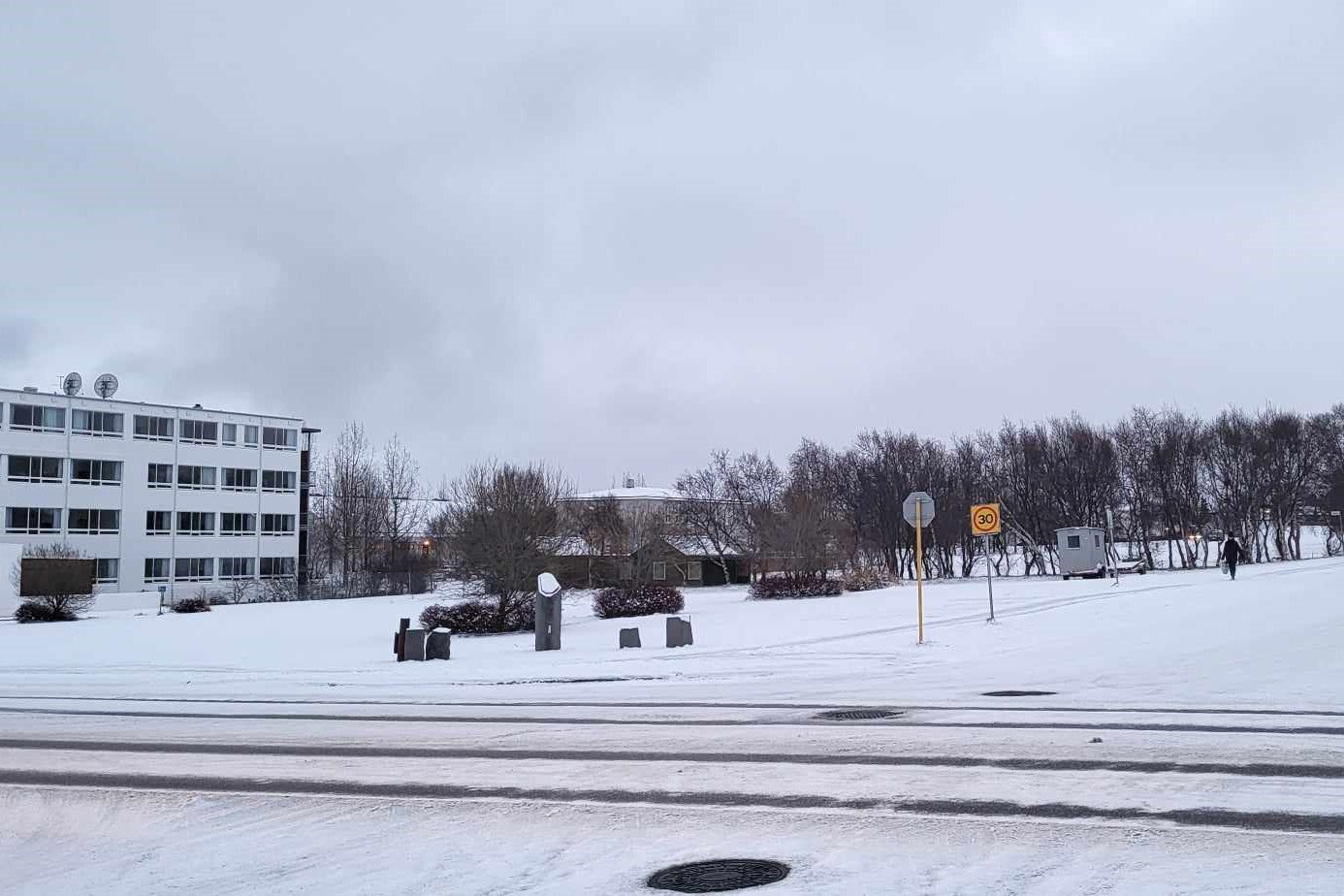 Umfangsmikil greining er nauðsynleg | akureyri.net