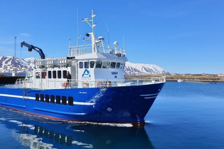 Vegagerðin hyggst reka Hríseyjarferjuna sjálf