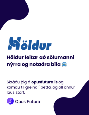 Opus futura 1 - Höldur