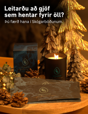 Skógarböðin - desember 2025