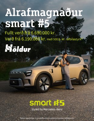 Höldur - hjólastilling apríl 26