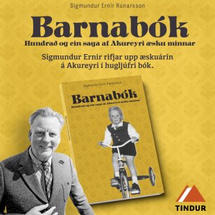Tindur - Barnabók
